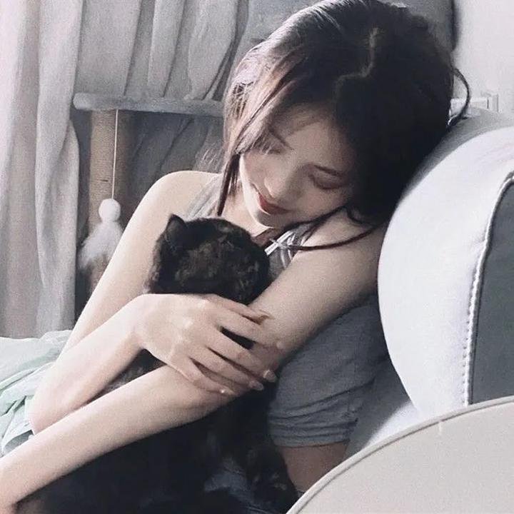 狐狸与猎狗