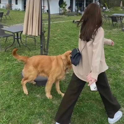 奇迹：追逐彩虹